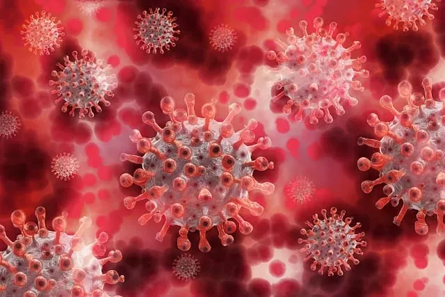 Virus, Covid, gefährliche Krankheiten, Pandemie, Krankheit X, Ebola, Vogelgrippe
