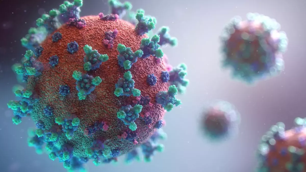 Wir lernen jeden Tag Neues über das Coronavirus