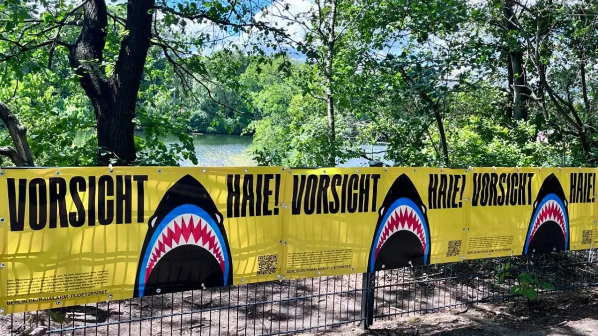 Grellgelbe Warnungen weisen auf vermeintliche Haie im Plötzensee hin.