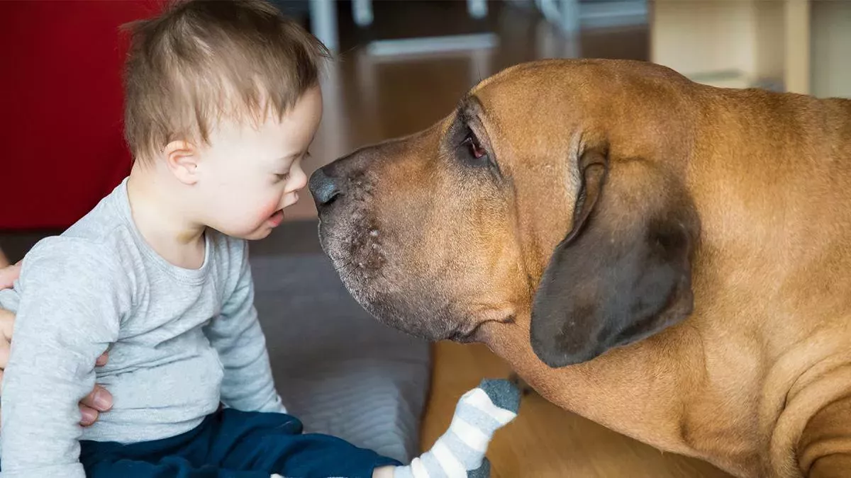 Können auch Tiere am Down-Syndrom erkranken?