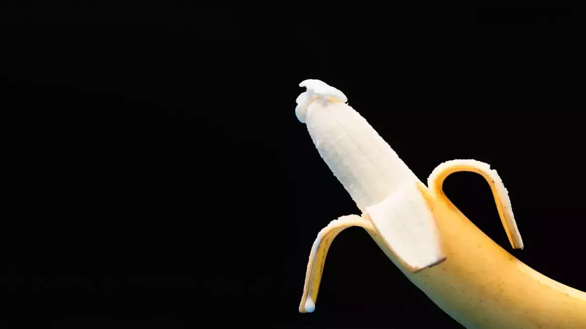 Männliche Erektion