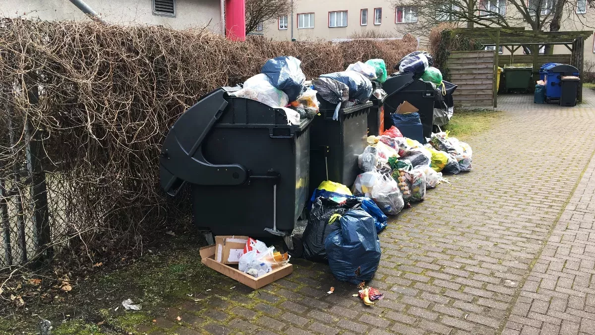 Schweinische Überraschung vor der Schule