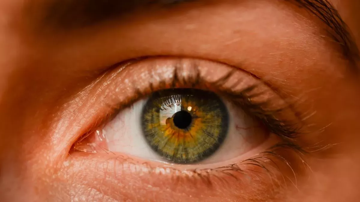 Auge, Holzsplitter, Untersuchung