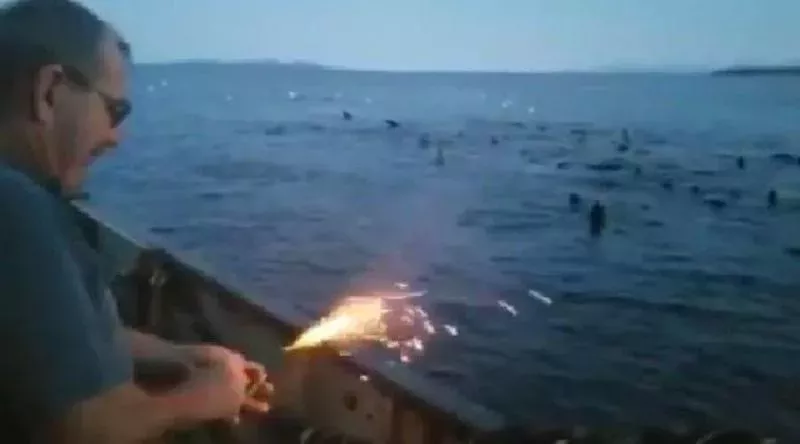 Fischer wirft Sprengstoff auf Tiere ins Meer, die Folgen sind unabsehbar!