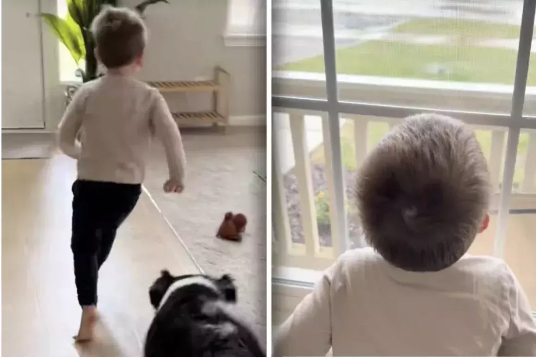 „Ich hab‘ dich lieb, Odie“ Warum ein Junge bei Regen immer ans Fenster läuft
