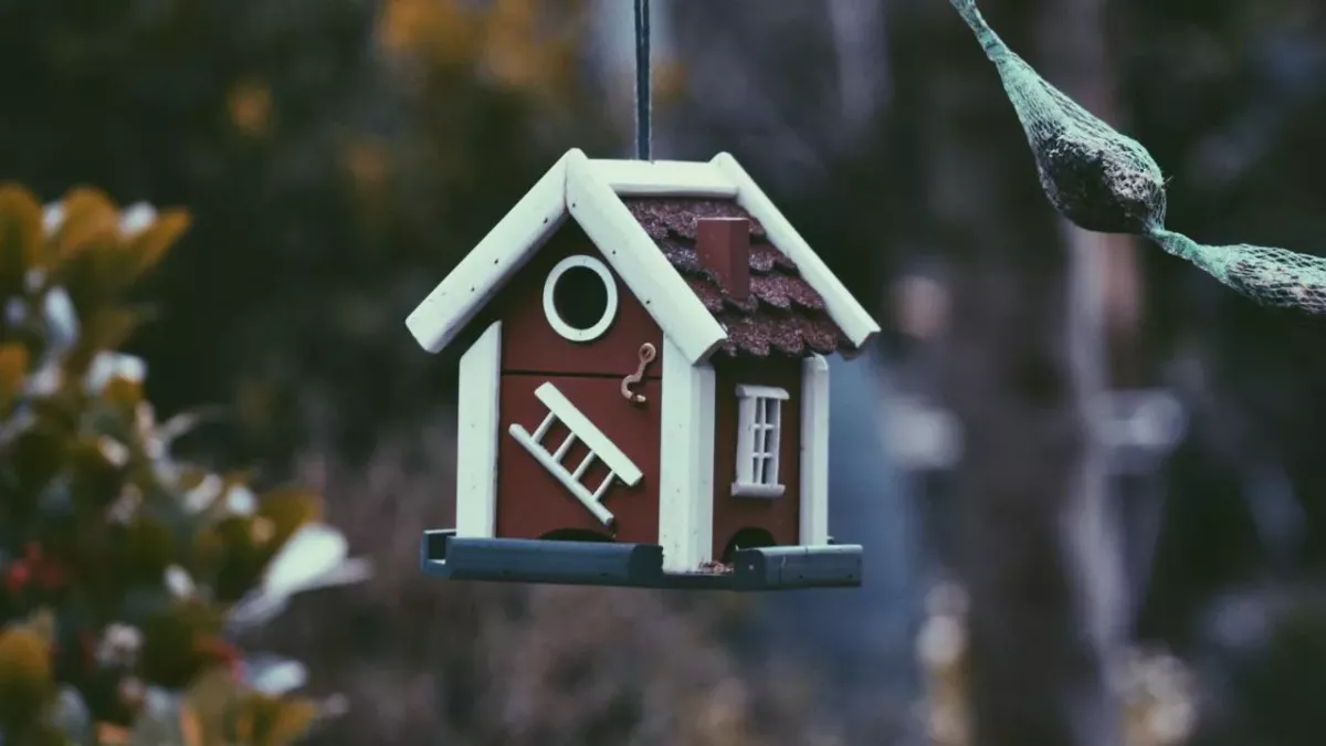 Ein Vogelhaus