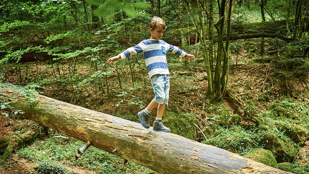 Junge verschwindet im Wald