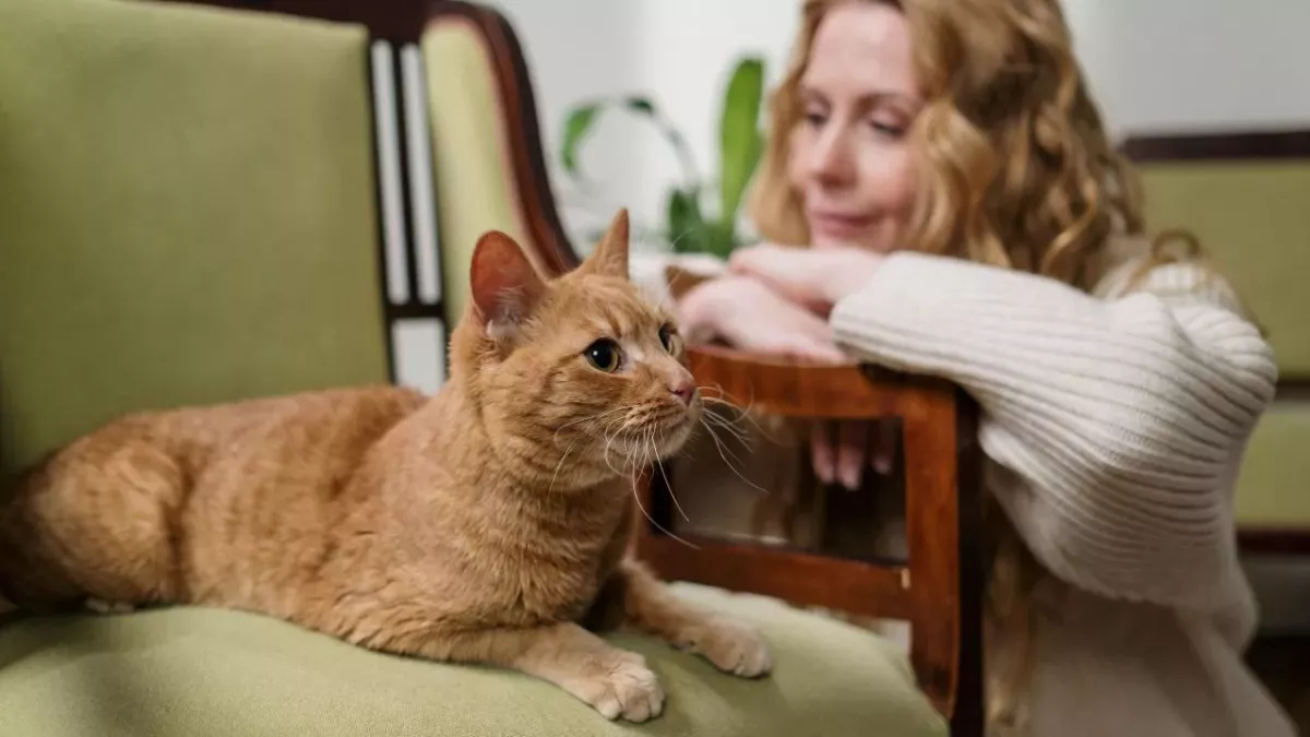 Katze und Frau