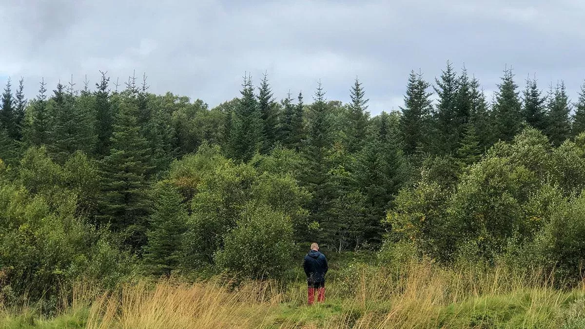 Mann wird nach fünf Jahren im Wald gefunden