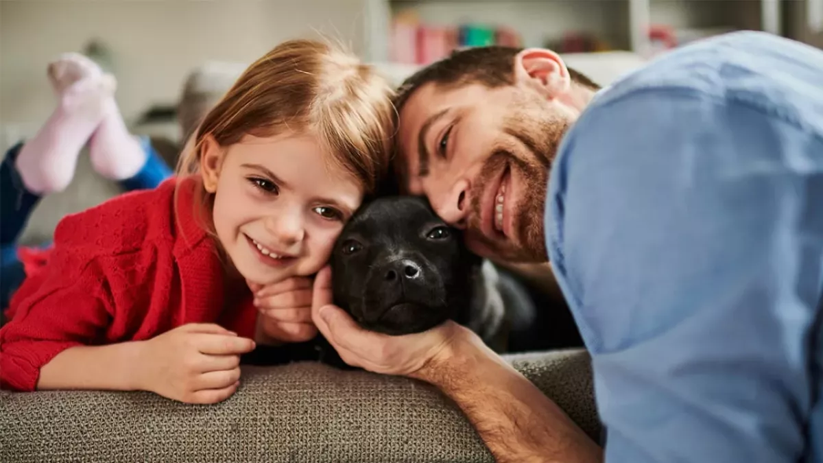Pitbull darf mit Tochter im Bett schlafen: Was dann passiert, überrascht alle