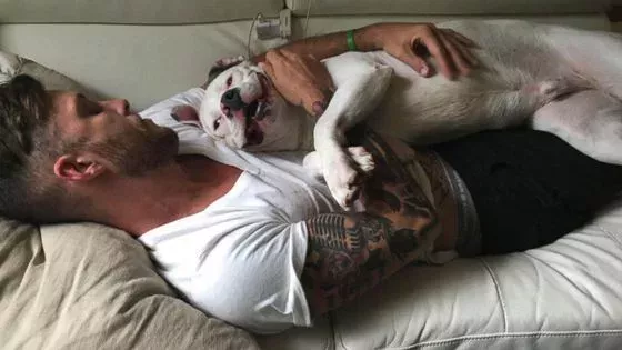 Pitbull