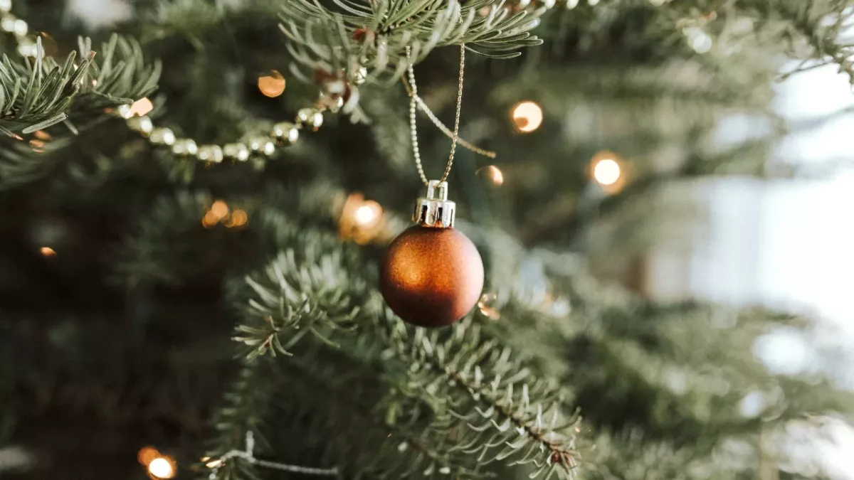 Weihnachtsbaum