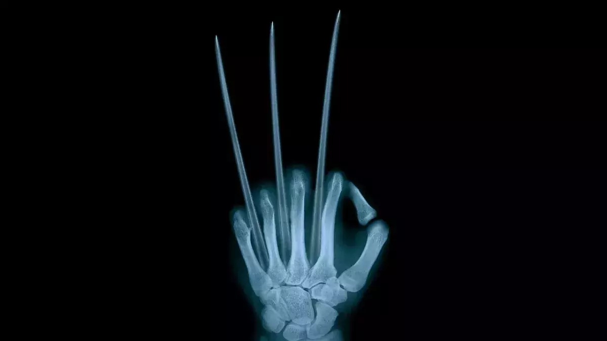 Wolverine