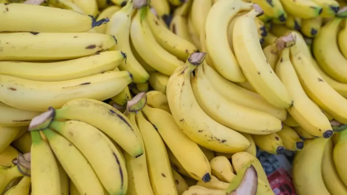 Bananen richtig lagern: Wie werden sie nicht so schnell braun?