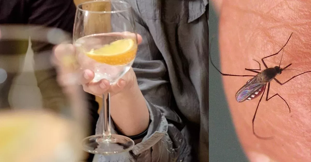 Gin und Tonic schützen vor Mückenstichen