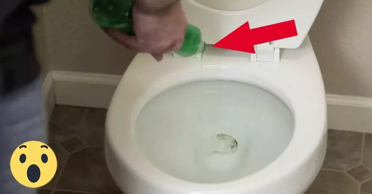 Ein Heimwerker gießt Spülmittel in seine Toilette. Das Ergebnis ist erstaunlich!