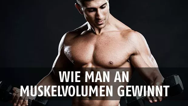 Ein wertvoller Tipp für den Muskelaufbau