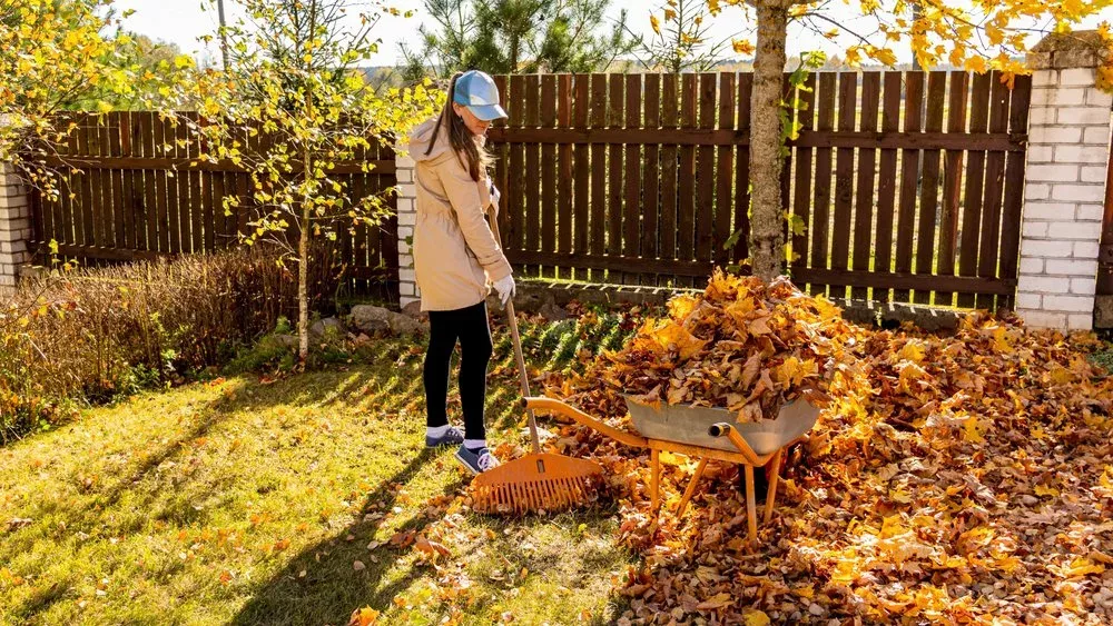Gartenarbeit im Herbst: Laub, Äste und mehr richtig entsorgen