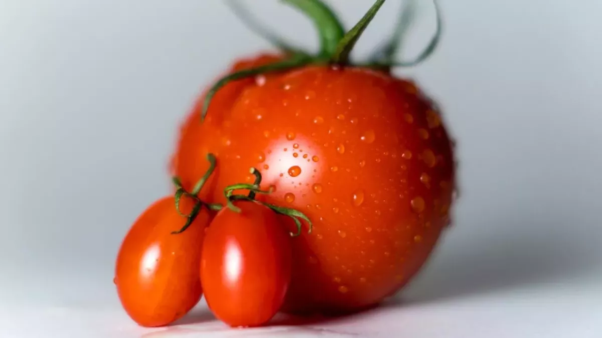 Drei Tomaten auf einem weißen Untergrund