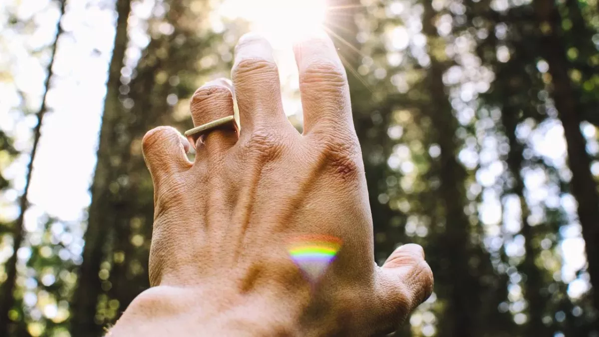 Eine Hand greift in das Sonnenlicht in einem Wald