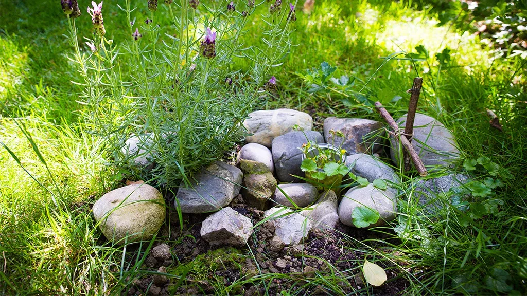 Haustier im Garten begraben