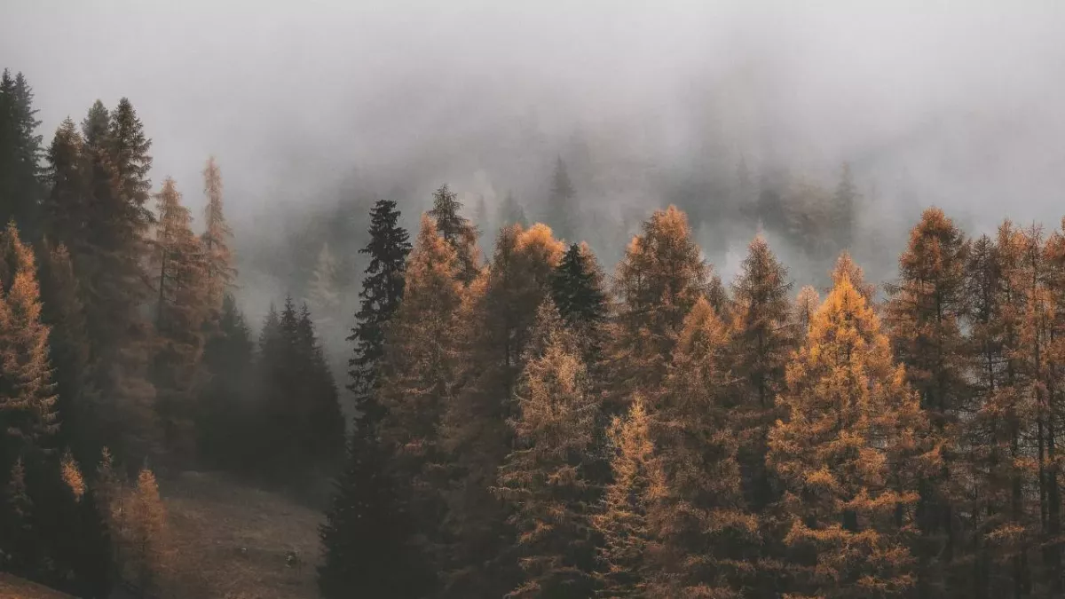 Herbst, Temperaturen, Kalt, Wetter, Ungemütlich