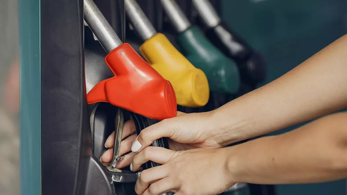 Sind Raps- und Heizöl eine Alternative zu Diesel?