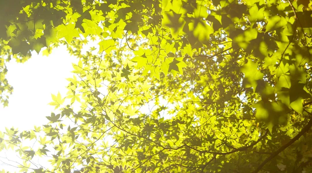 Sommerbräune: Kann man auch im Schatten braun werden?