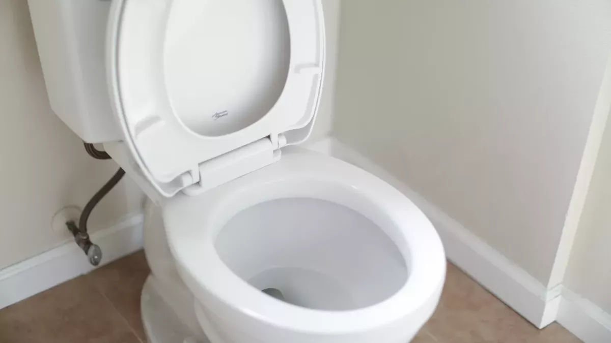 Unerwartete Kreaturen in der Toilette