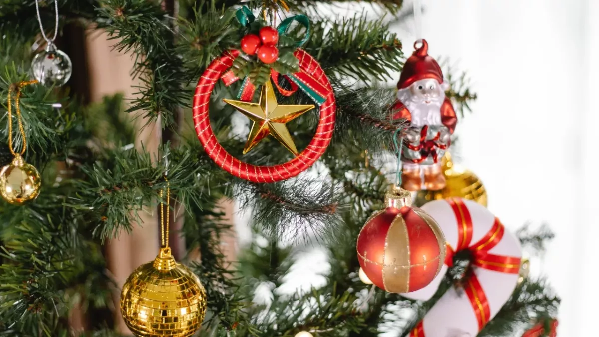 Weihnachten,Tannenbaum,Weihnachtsbaum,Preis,Geld,teuer,Christbaum,teurer