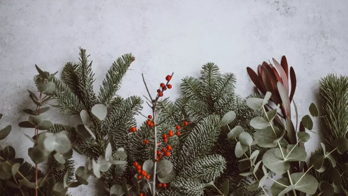 Wie Weihnachtsmüll recyceln?