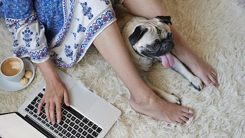 Youtuberin mit Hund