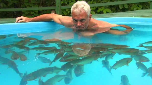 Mann setzt sich in einen Pool voller Piranhas