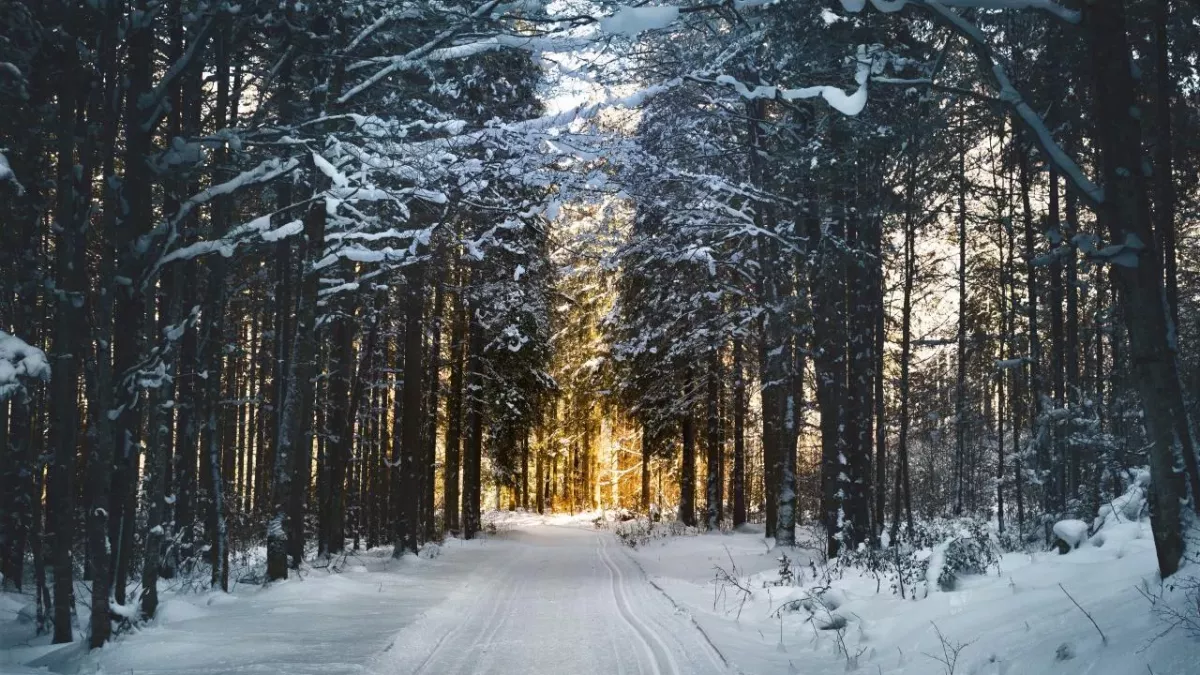 Der Winter kehrt zurück: Temperaturabfall bringt Schnee statt Regen