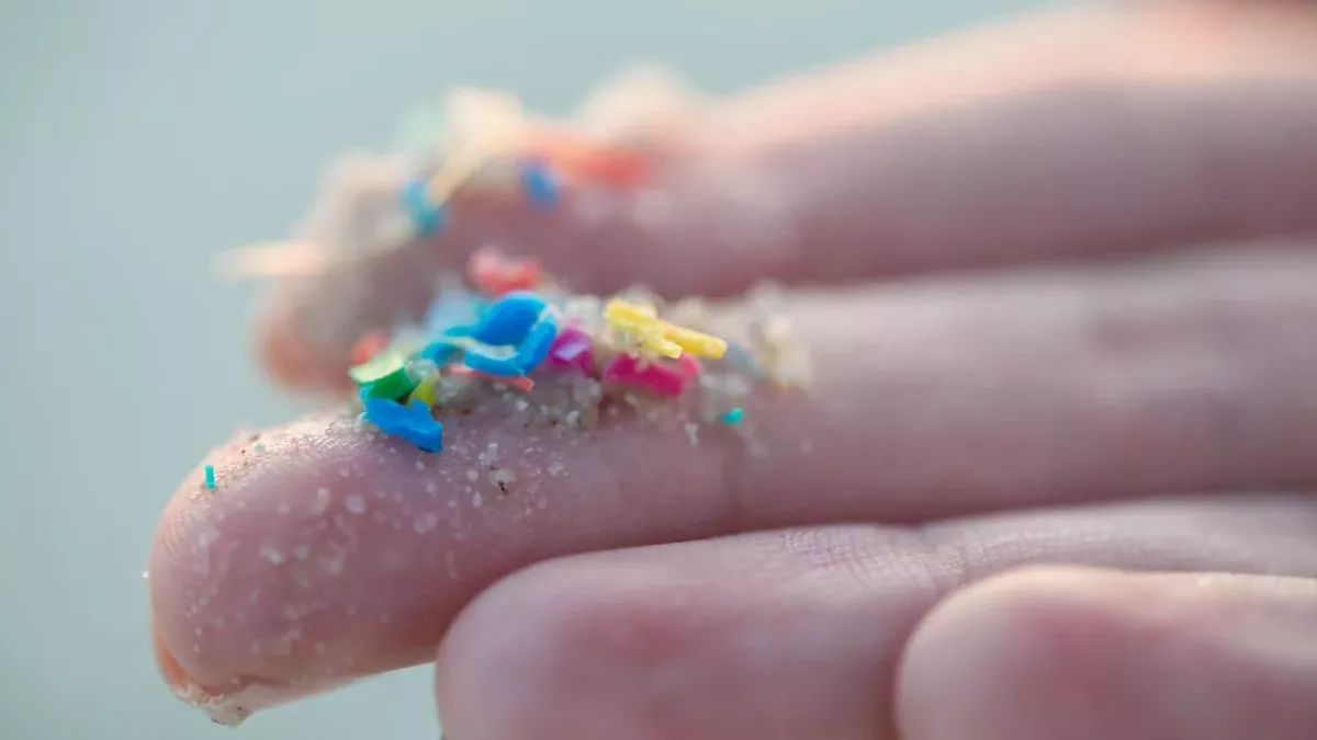 Europäische Union, Mikroplastik, Verbot