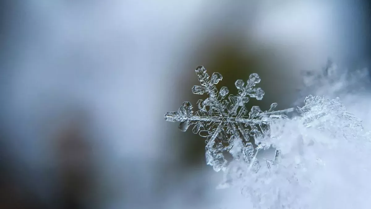 Februar, Wetter, Winter, warm