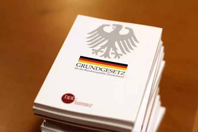 Für ihre Bildungsreform will die FDP sogar das Grundgesetz ändern