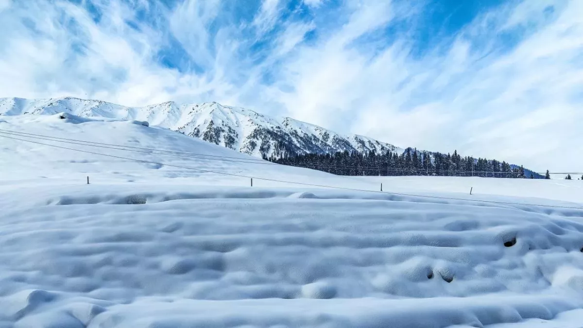 Polarwirbel bringt den Winter zurück nach Deutschland 