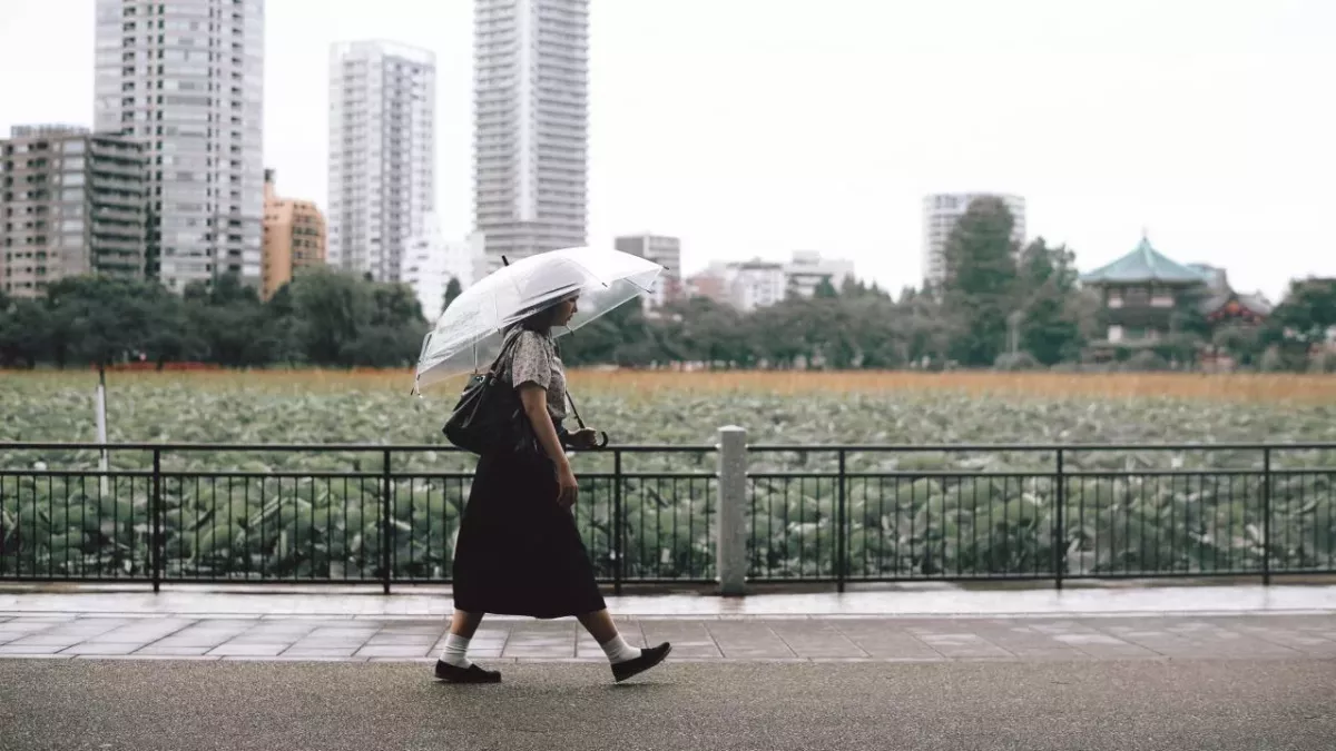 Regen, Wetter, Herbst, Temperatursturz, ungemütlich