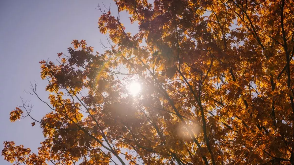 Sommerwetter im Herbst: Bekommen wir einen goldenen Oktober?