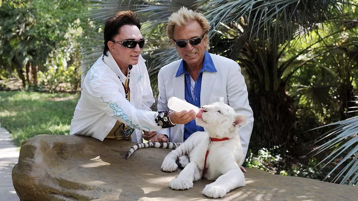 Siegfreid und Roy mit einem von ihren berühmten weißen Tigern