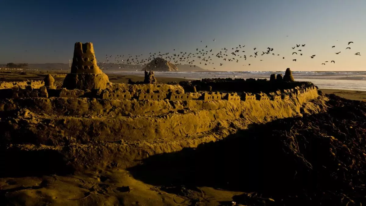 Vögel fliegen über einer Sandburg 
