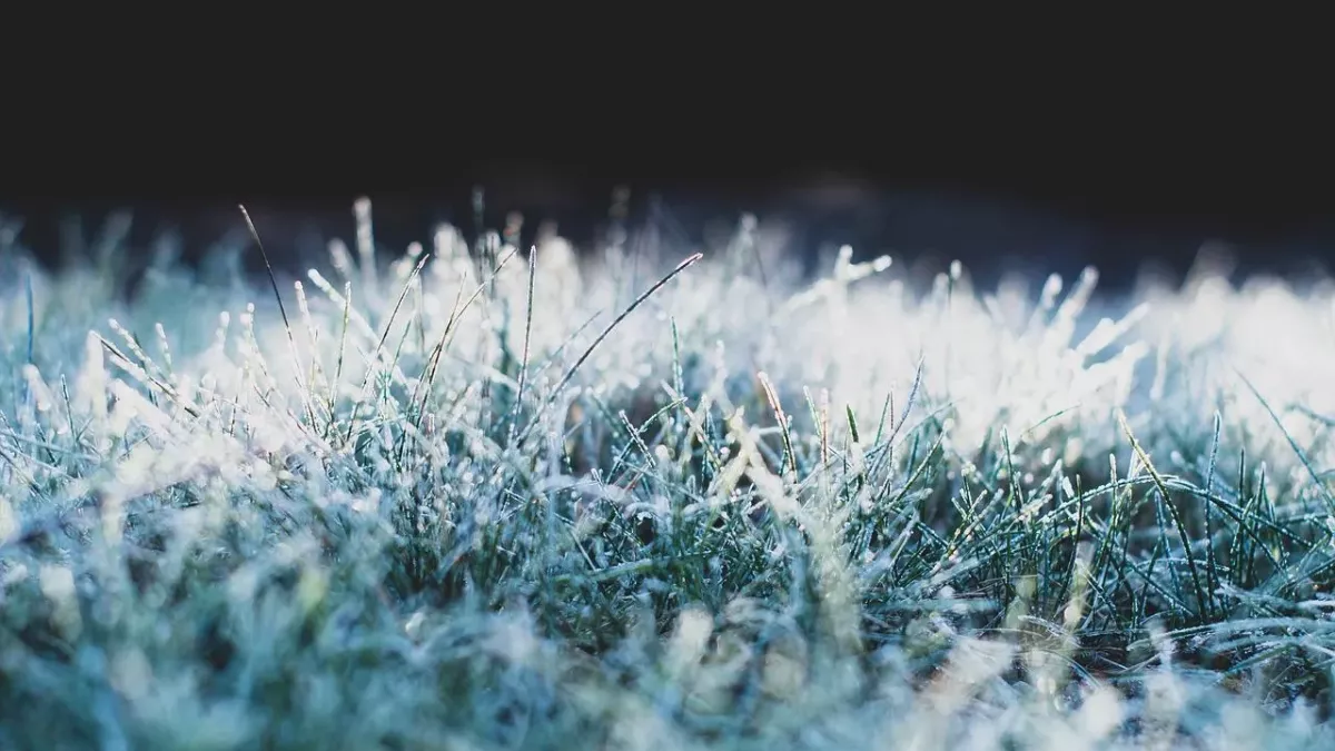Bodenfrost