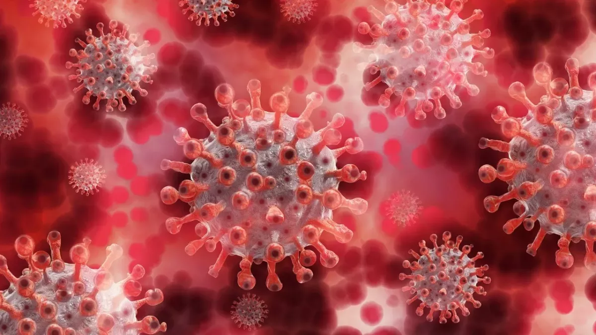 Coronavirus