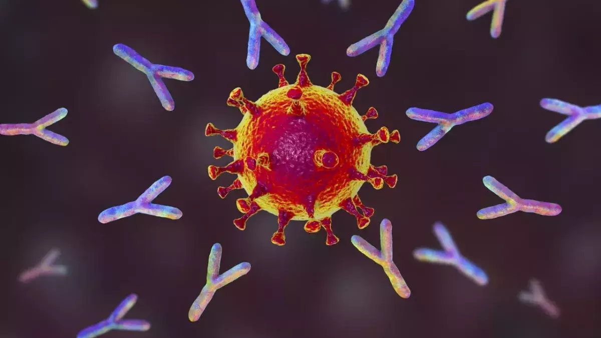 Covid-19: "Übermenschliche" Immunität bei einigen Patienten