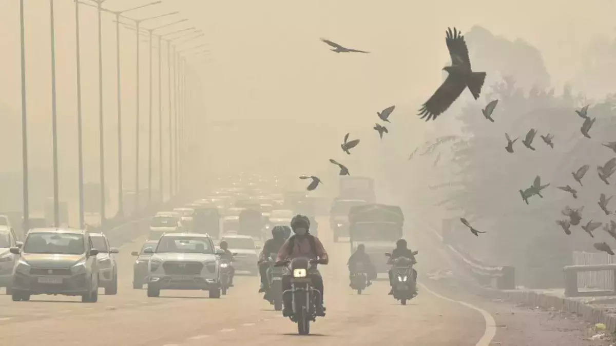 Feinstaubbelastung in Neu-Delhi