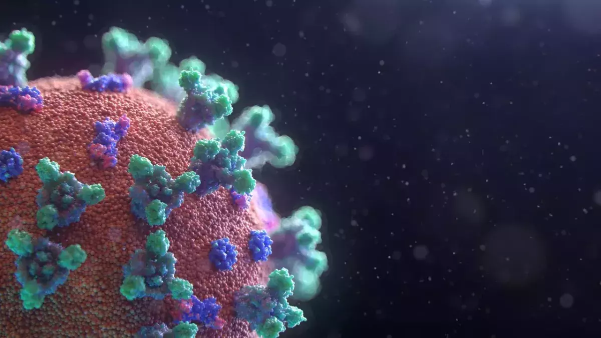 Kommt das Coronavirus aus dem Labor oder vom Markt in Wuhan?