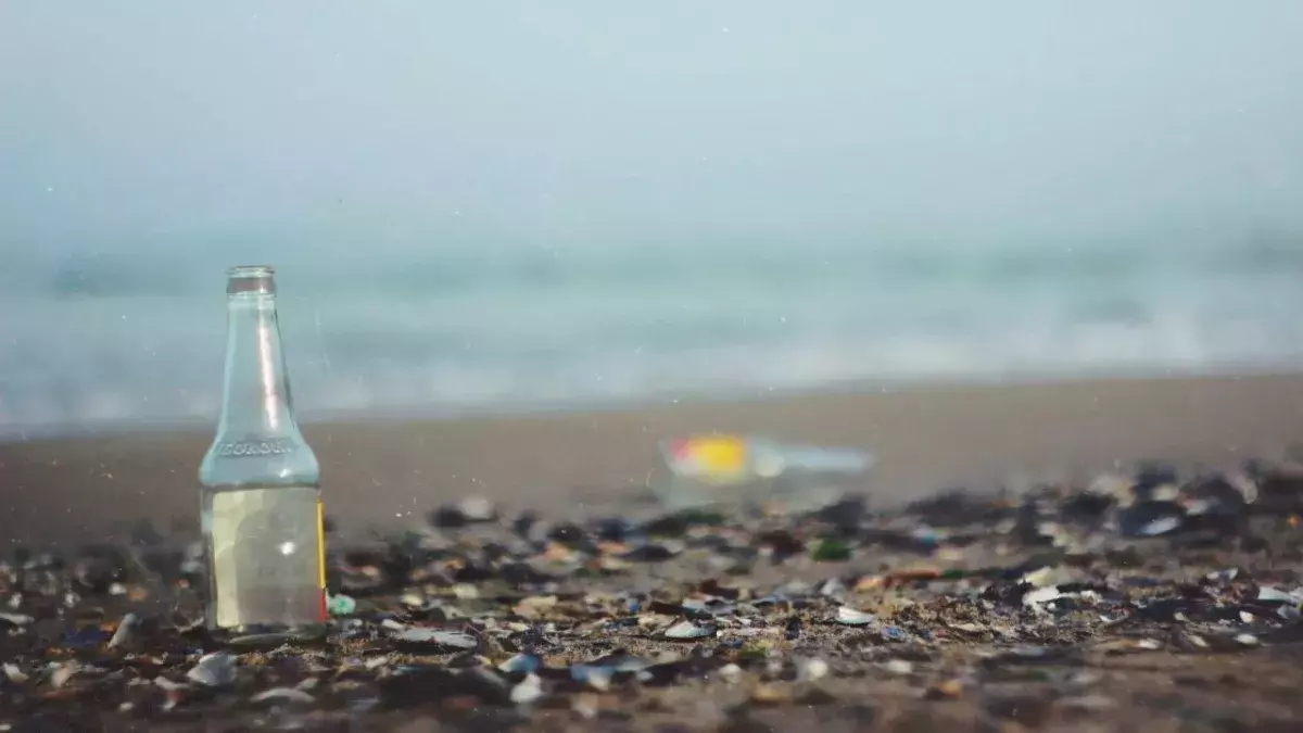 Migrant:innen sollen Müll am Strand aufsammeln
