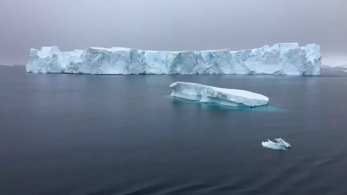 Riesen-Eisberg löst sich vom Festland: Forscher:innen geben unerwartete Begründung