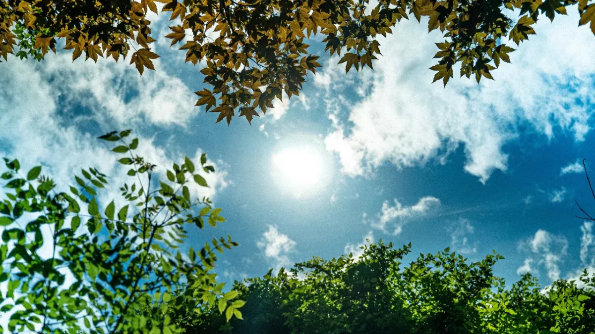 Sommerzeit